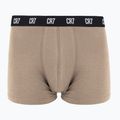Pánské boxerky CR7 Basic Trunk 5 ks 2414 multicolur 5