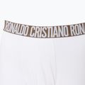 Pánské boxerky CR7 Basic Trunk 3 ks 2764 multicolour 5