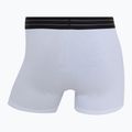 Pánské boxerky CR7 Basic Trunk 7 by 2815 multicolor 8