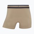 Pánské boxerky CR7 Fashion Trunk 5 pairs multicolour 8