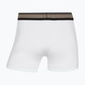 Pánské boxerky CR7 Fashion Trunk 5 pairs multicolour 10