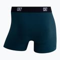 Pánské boxerky CR7 Basic Trunk 7 pairs 2821 multicolor 4