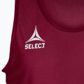 Rozlišovací dres Select Basic Bordový 6841002997 3