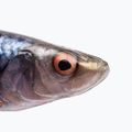 SavageGear LB 4D Herring Shad roach 63663 2