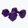 Bitumenové činky Meteor 2 x 2 kg fialové 30166