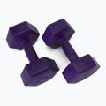Bitumenové činky Meteor 2 x 2 kg fialové 30166 2