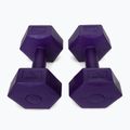Bitumenové činky Meteor 2 x 2 kg fialové 30166 3