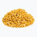 Carp Target Wild Rose Fishing Corn 0009 2