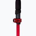 Lyžařské hole Viking Spider black/red 5