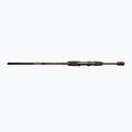 Přívlačový prut DRAGON Fishing Express Spinn 25
