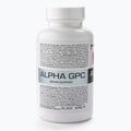 Alpha GPC 7Nutrition paměť a koncentrace 60 kapslí 7Nu000436 2