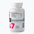 Shilajit Mumio 400mg 7Nutrition imunitní systém 120 kapslí 7Nu000456 3