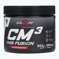 Kreatin Trec CM3 HMB Fusion 200 kapslí TRE/1050