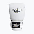 Boxerské rukavice StormCloud Blizzard white/black 2