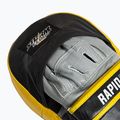 Tréninkové lapy pro trenéra StormCloud Rapid black/yelow 5
