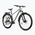 Horské kolo KROSS Hexagon 4.0 EQ 29" silver/green/gloss 2