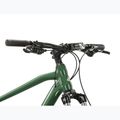 Horské kolo KROSS Hexagon 4.0 EQ 29" green/silver/gloss 4