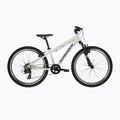 Dětské kolo KROSS Dust Jr 1.0 grey/black/gloss