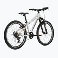 Dětské kolo KROSS Dust Jr 1.0 grey/black/gloss 3