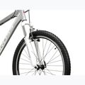 Dámské horské kolo KROSS Lea 1.0 silver/white/gloss 5