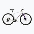 Gravelové kolo KROSS Esker 1.0 FL grey/purple/gloss