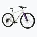 Gravelové kolo KROSS Esker 1.0 FL grey/purple/gloss 2