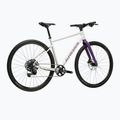 Gravelové kolo KROSS Esker 1.0 FL grey/purple/gloss 3