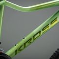 Dámské horské kolo KROSS Lea X200 W 29 green/green/matte 12