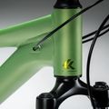 Dámské horské kolo KROSS Lea X200 W 29 green/green/matte 14