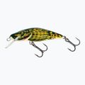 Salmo Bullhead S býčí hlava QBD003