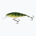 Salmo Executor SHR pravý okoun QEX004