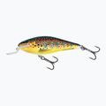 Salmo Executor SHR pstruh QEX005