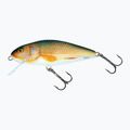 Salmo Perch FL pravá plotice QPH025