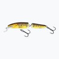 Salmo Fanatic F7F trout QIF004