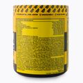 Předtréninkový přípravek Real Pharm Unreal 360g černý rybíz-citron 700957 3