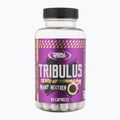 Testosteron Booster Real Pharm Tribulus 1000mg 60 kapslí 714053