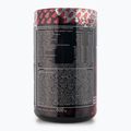 Předtréninkový přípravek Real Pharm Terminator 500g černý rybíz 715043 2