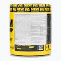 Fitness Authority Napalm On Stage Pump 313 g dragon fruit 2