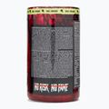 Fitness Authority Skull Labs Skull Crusher 350 g dragon fruit 3