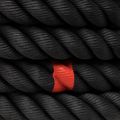 Tréninkové lano THORN FIT Competition Hybrid do sanek black 7