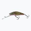 Salmo Bullhead SDR šumivý býček QBD017