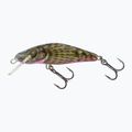 Salmo Bullhead FL šumivý býček QBD011