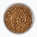 Liofilizované potraviny  LYOFOOD Jáhlová kaše na kokosovém nápoji 210 g 3
