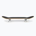 Fish Skateboards Zack Beginner classic skateboard 8.0' modrý SKATE-ZAC-SIL-WHI 2