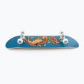 Fish Skateboards Zack Beginner classic skateboard 8.0' modrý SKATE-ZAC-SIL-WHI 11