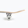 Fish Skateboards Zack Beginner classic skateboard 8.0' modrý SKATE-ZAC-SIL-WHI 12