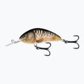 Salmo Hornet FL nadpřirozený zrcadlový kapr QHT859