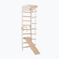 Gymnastický žebřík RINAGYM SPR C+SLIDE 4