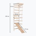 Gymnastický žebřík RINAGYM SPR C+SLIDE 6