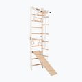 Gymnastický žebřík RINAGYM SPR A+SLIDE 3